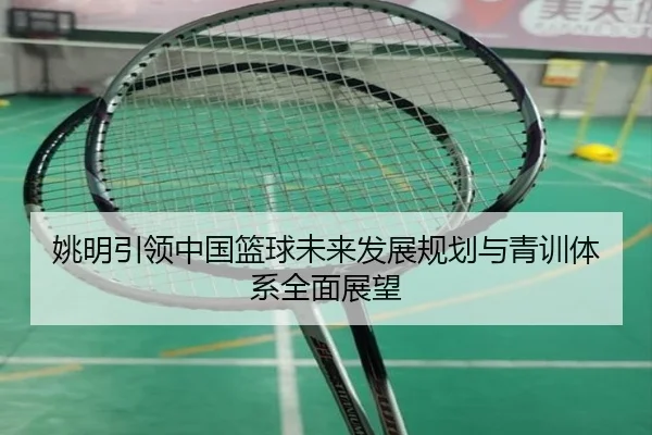 姚明引领中国篮球未来发展规划与青训体系全面展望